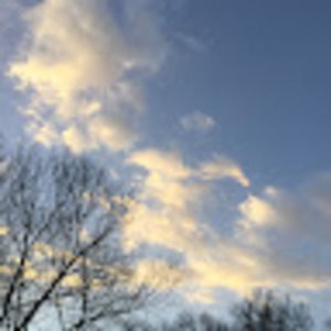 Meet your Posher, Zoe